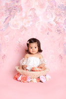 6-8 Month Sitter Session